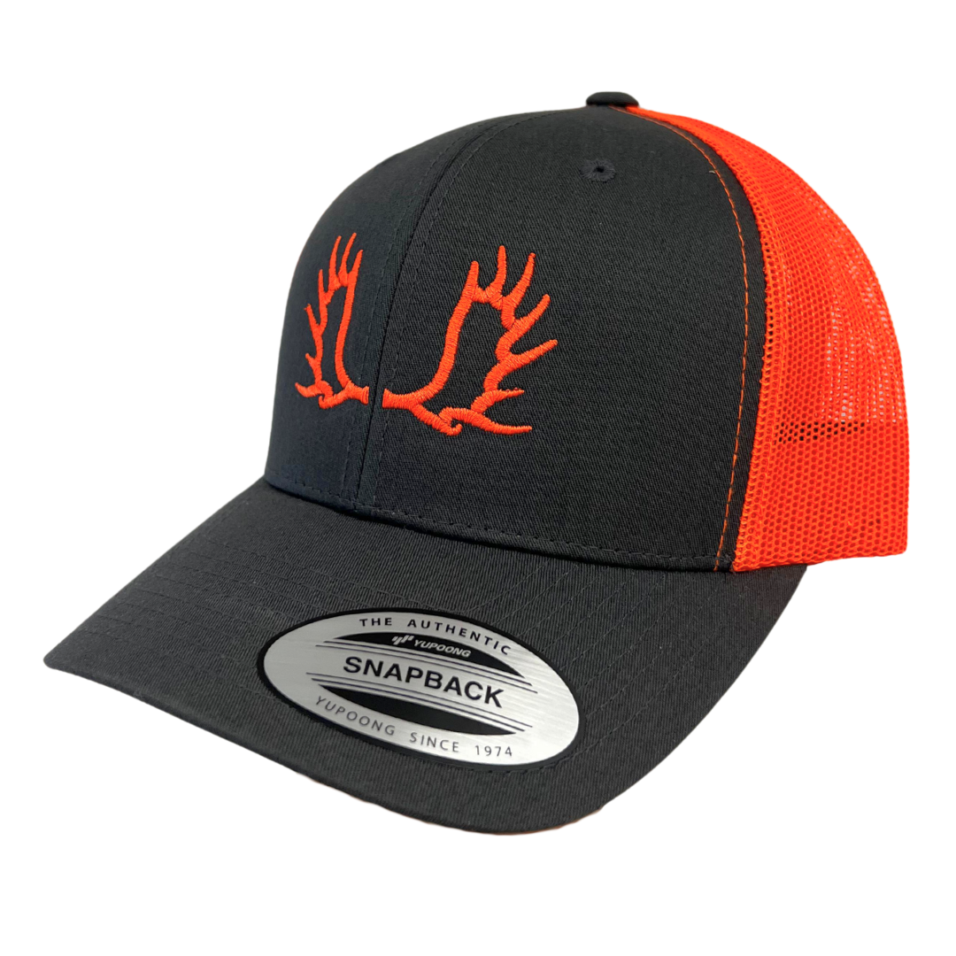 MOOSE 1.0 - CAP