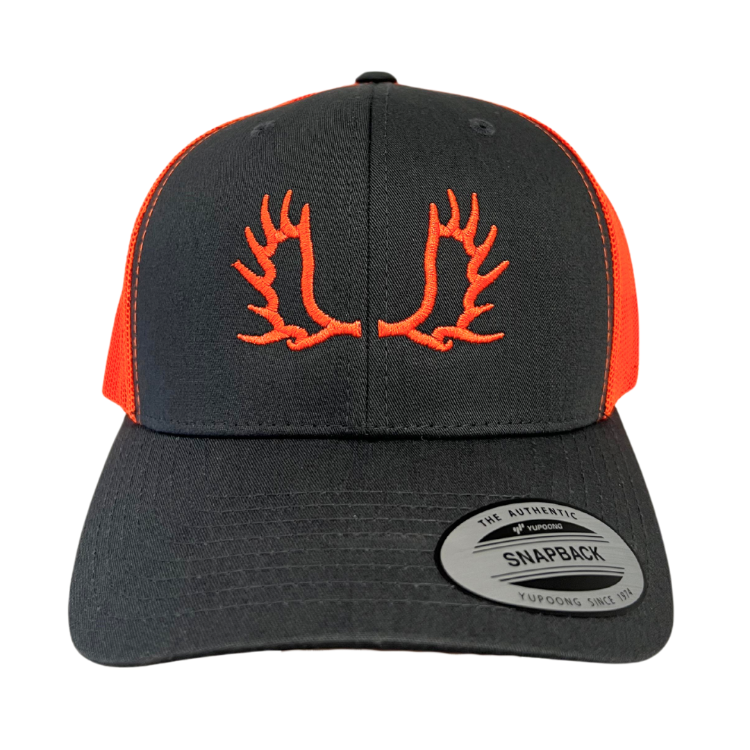 MOOSE 1.0 - CAP