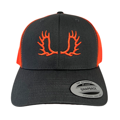 MOOSE 1.0 - CAP