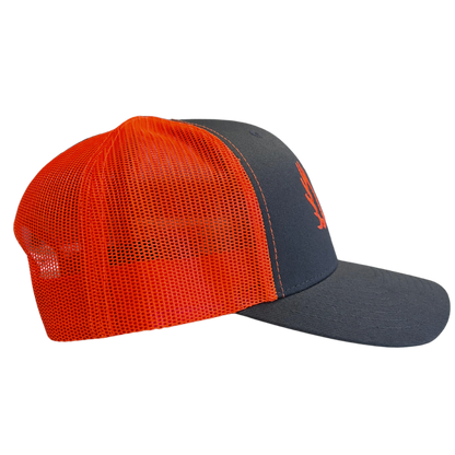 MOOSE 1.0 - CAP